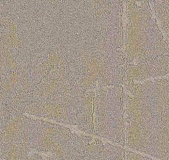 Ковровая плитка Milliken Arctic Survey shk 121-48 True North фото 1 | FLOORDEALER